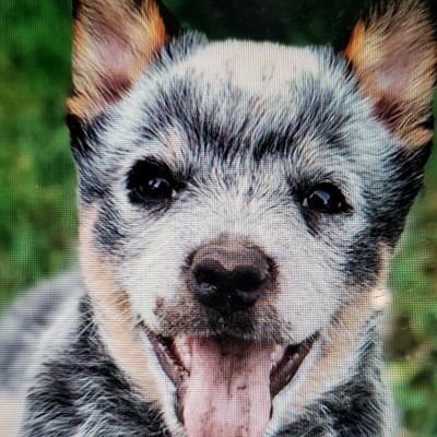 beauty4hisbeast's profile picture. 