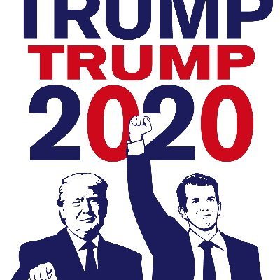 DoubleTrump2020 Profile Picture