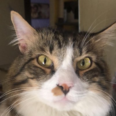 evolvx's profile picture. Sono una persona simpatica, mi piace stare in compagnia, conoscere sempre persone nuove.