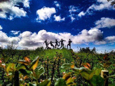 AlquamaSayyed's profile picture. 