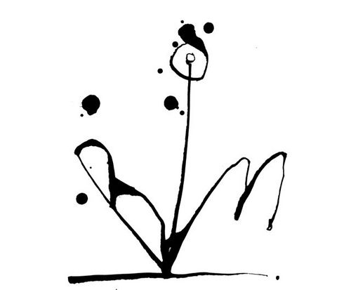 bloompro's profile picture. Creative learning through drama, film and the visual arts