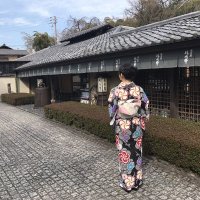 るー@5y (@yos_cheee) 's Twitter Profile