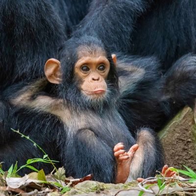 idmlra's profile picture. 