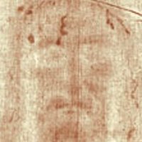 Benoit Gallez (@benoit1184) 's Twitter Profile