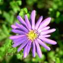 Kenneth Bryant - @KennethBryant21 - Twitter