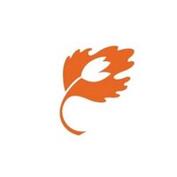 Tulips & Maple (@tulipsandmaple) 's Twitter Profile