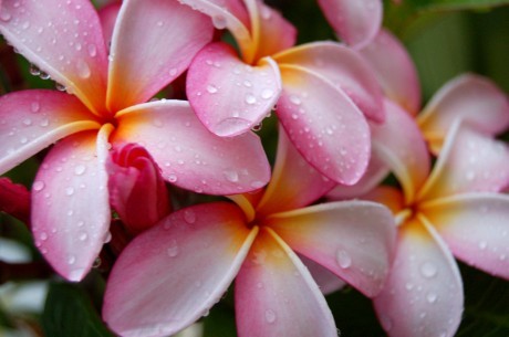 Yoroshiku_34's profile picture. 