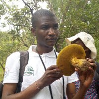 Michael Sakha (@sakhamike) 's Twitter Profile