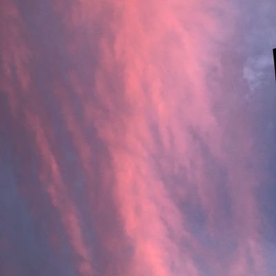 moya__mola's profile picture. 