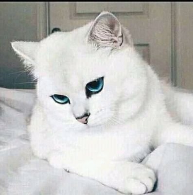 owolebi_moses's profile picture. smile and make people laugh