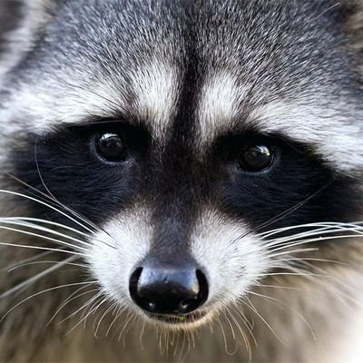 Maigo17038051's profile picture. 