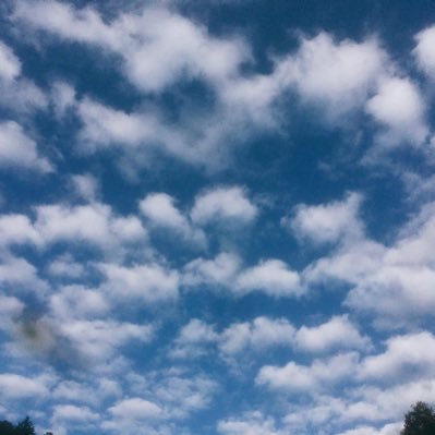 xyvkyi54IHTyJxt's profile picture. #環境 違和感。情報収集用の垢。無言フォロー失礼します。