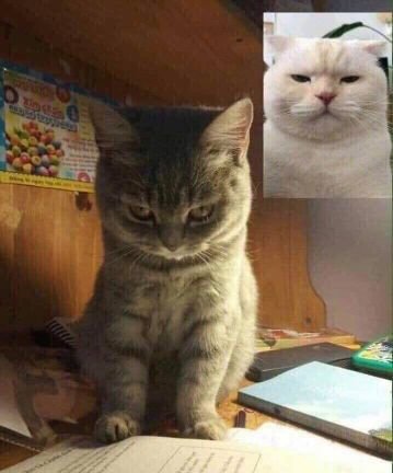 PZone44170986's profile picture. 