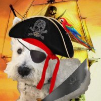 Toby Eades (@tobiasthewestie) 's Twitter Profile