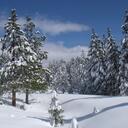 Michael Weil - @new2something - Twitter