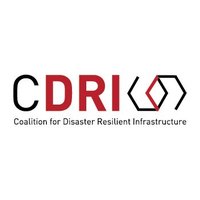 Coalition for Disaster Resilient Infrastructure(@cdri_world) 's Twitter Profile Photo
