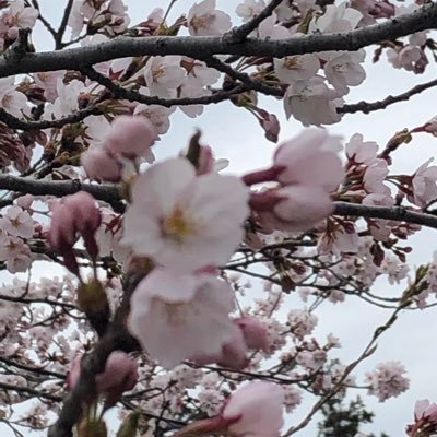 Gルート受験。勉強情報収集の為ツイッター始めました。無言フォロー失礼します。公認心理師試験合格しました！