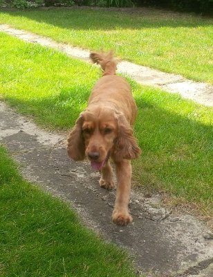 JdMd_XXVILO's profile picture. Z centralnej Polski