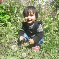 Hussain Ali (@hussainaljani) 's Twitter Profile