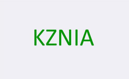 KZN Architecture Profile