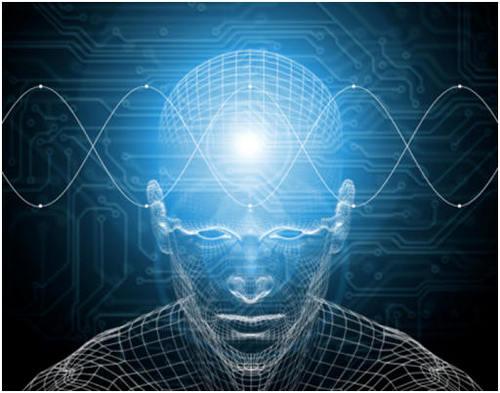 ShortndotTK's profile picture. 