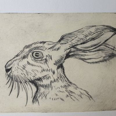 Rabbitinthesnow's profile picture. Irish Illustrator