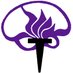NYUneurosurgery (@nyuneurosurgery) Twitter profile photo NYUneurosurgery (@nyuneurosurgery) Twitter profile photo