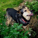 Mike Irish - @Irish1956 - Twitter