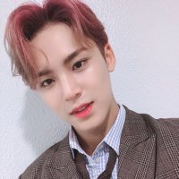 はる🐶 (@hr__mingyu) 's Twitter Profile