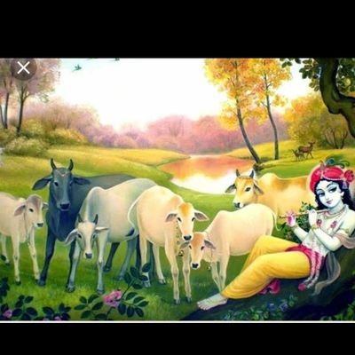 Preethi mn