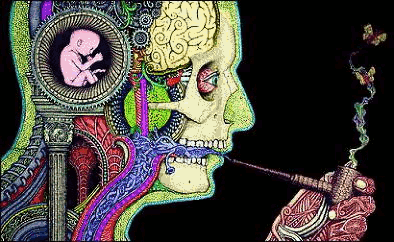HashishKebab's profile picture. If God dropped acid, would He see people?