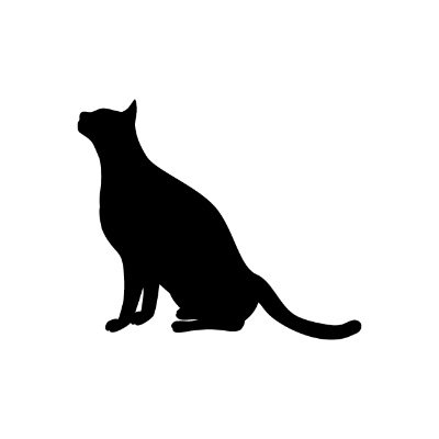 komatsuyokowaki's profile picture. 備忘録的に使ってる。イーブイ推し、♂黒猫❤️。公共放送とネコとぷよクエ多め。