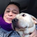 Shannon Costa - @shannonwcosta - Twitter