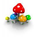 Latest Mobile Tips and Offers