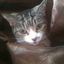 Becky I'Anson Ashby - @ashbyrd - Twitter