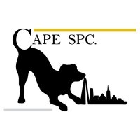 Cape SPC (@capespc) 's Twitter Profile