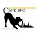 Cape SPC (@capespc) Twitter profile photo Cape SPC (@capespc) Twitter profile photo