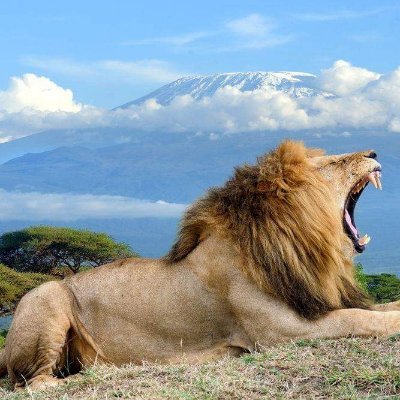 ShadowCongress's profile picture. A movement for model constitutionalism and governance structures for equitable and sustainable social development that promote and assure stable democracies.