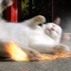 Fn0i7yvC8GUd37g's profile picture. ほんとあたまわるくてこまる。