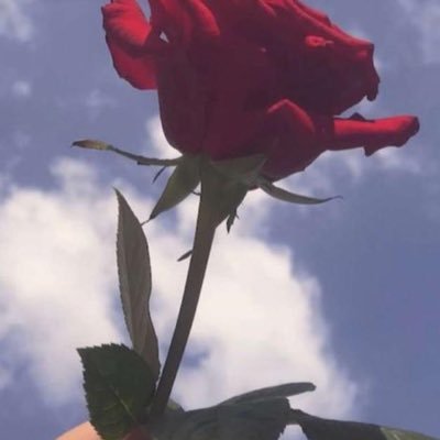 dSxuZbcDxOhwte8's profile picture. 