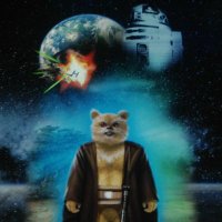BeBePonta (@mojya67) 's Twitter Profile
