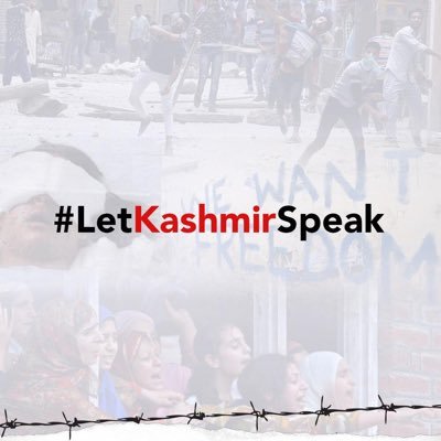 HaseebFSP's profile picture. 🇵🇰 diplomat