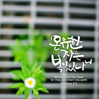 Larry2180's profile picture. 외식경영학/세종/이랜드월드/애슐리/피자몰/리미니/후원/더까페/뺑드프랑스/뽀쪼/애슐리투고/CK/식품위생&가공업&제조업/패션/건설/리조트 = 사람을 하늘같이 여기며 많은 분들과 감사와 고마움을 함께 하고 싶습니다. 여러분 사랑합니다.