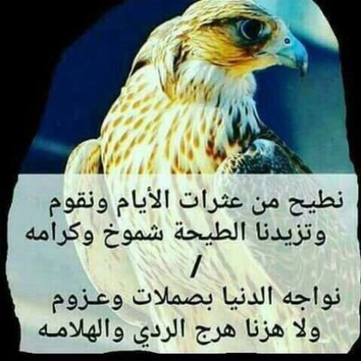 PwWUbX6GpH5MKAE's profile picture. ‏فخذ الخشته   قبيلة الفدعان