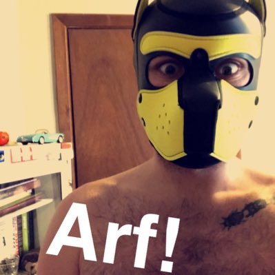 Yellow Pup in Minneapolis • Non-binary • Sexy adventures and fun encounters with friends 🐶😈 @Pup_Twilight is my bf • 18+ ONLY