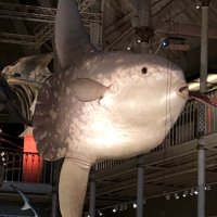 Rich Hunter 💙 (@richhunter1964) 's Twitter Profile