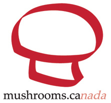 We are Mushroom Lovers, join the club! Tweets by the Mushrooms Canada team!

FB: https://t.co/tlnGfXkdB9
Insta: https://t.co/w4sEBbdJ8x