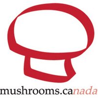 Mushrooms Canada(@mushroomscanada) 's Twitter Profile Photo