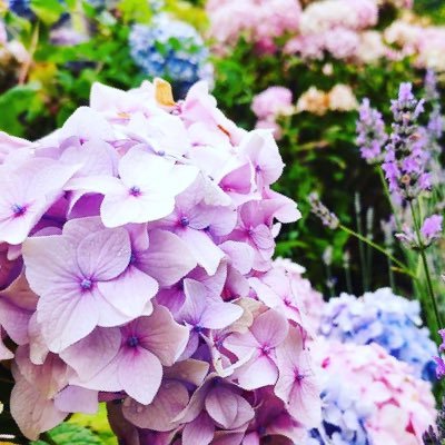 William31909931's profile picture. 