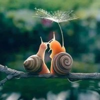 CryptoCharity❤️ (@samuelng171) Twitter profile photo